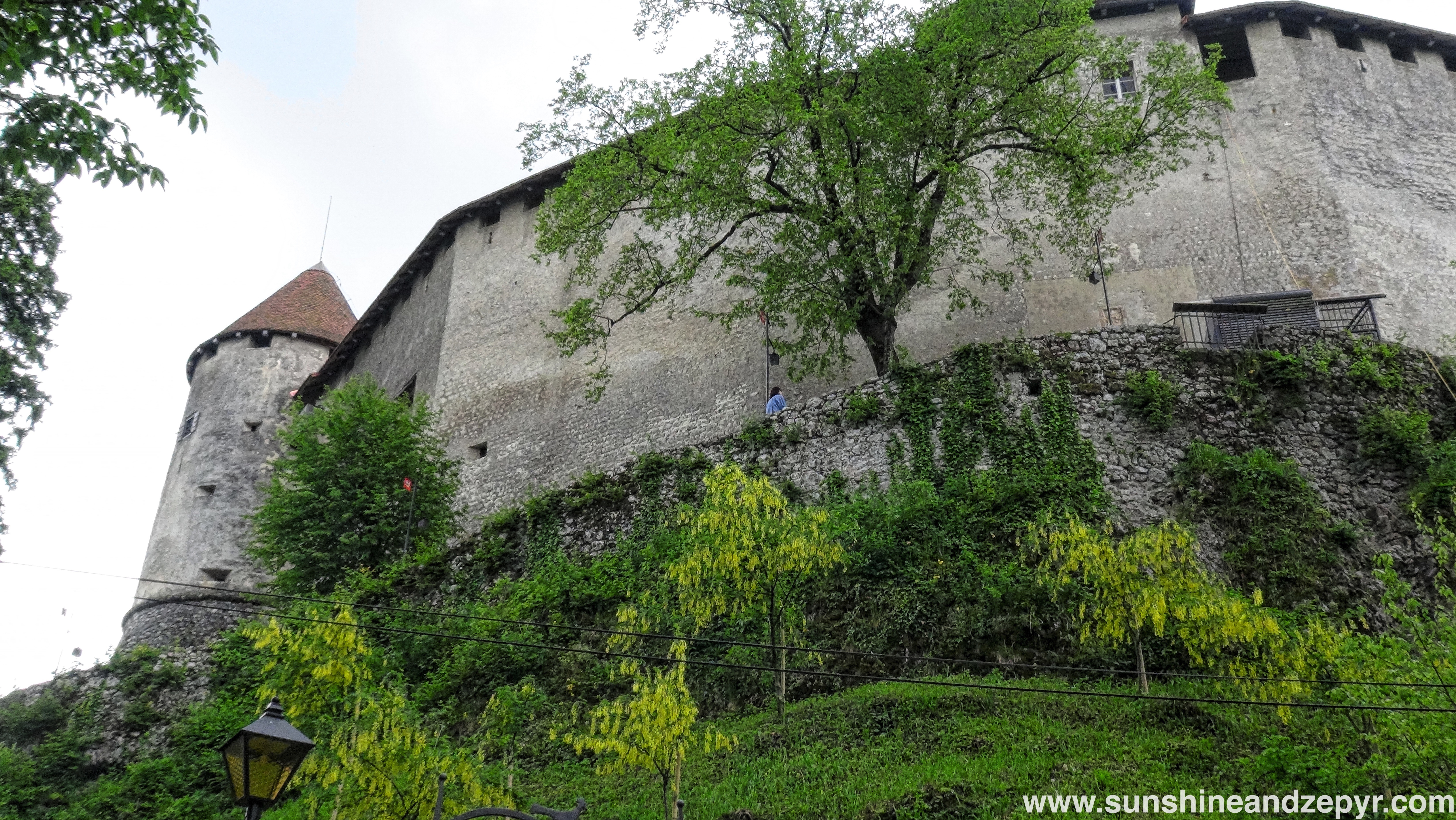 bled6
