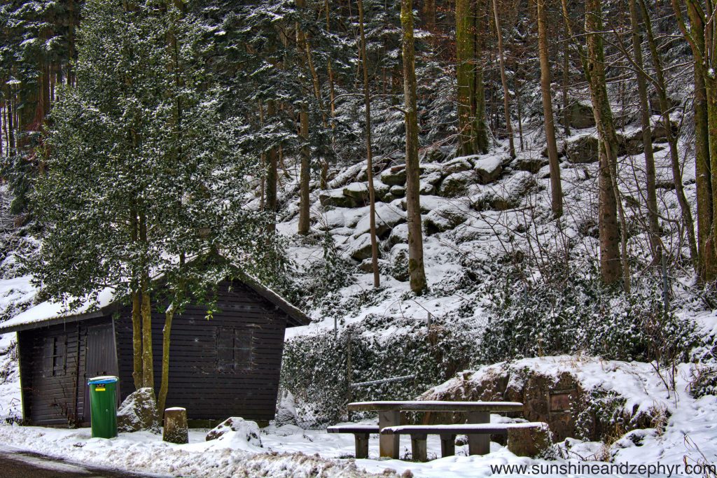 The Black Forest High Road Germany Sunshine and Zephyr by Shweta